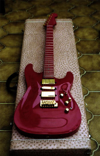 dream-stratocaster-custom-case